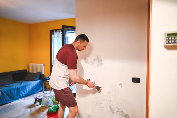 Best Mold Testing and Inspection Services in Brownsville, TN